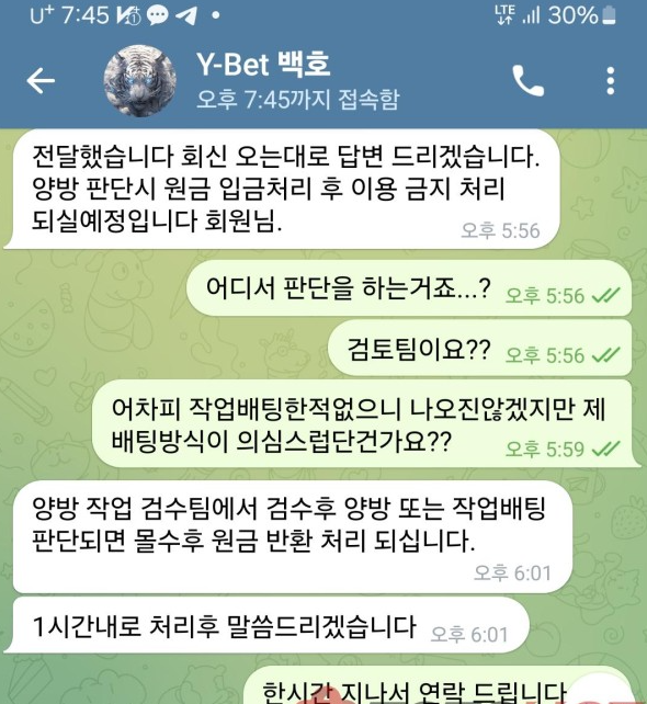 핑-ping-환전불가-먹튀사이트-먹튀신고-먹튀검증AI